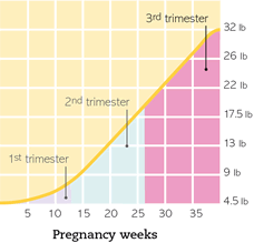 Pregnancy Weight Gain Week By Week Chart