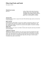 Investigate Activity: Observing Fruits and Seeds