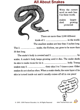 All About Snakes