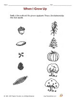 When I Grow Up Plants Printable