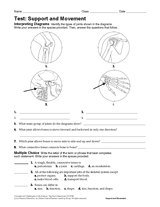 Life Science Test: Support and Movement
