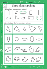 Same Shape and Size (Grade 1)